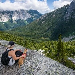 Meet your Posher, Courtenay